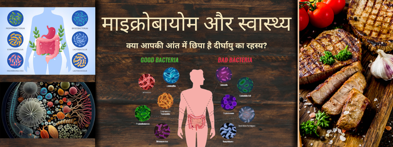 Image for माइक्रोबायोम और स्वास्थ्य: क्या आपकी आंत में छिपा है दीर्घायु का रहस्य?